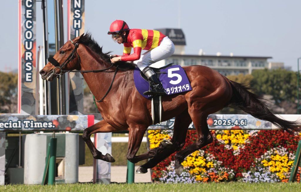 🐎 한신 경마장 이미지 10